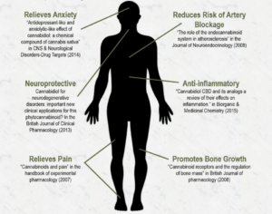 cbd oil and body issues relief