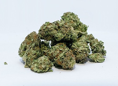 dried cannabis plant