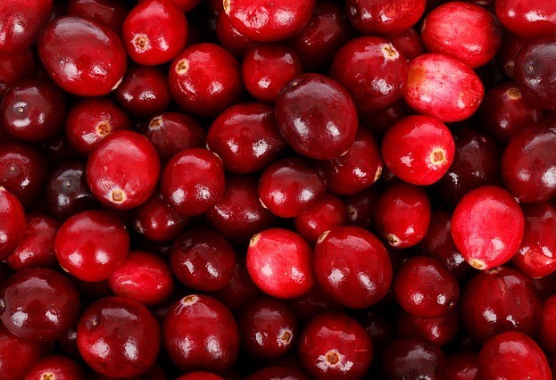 red fresh cranberries