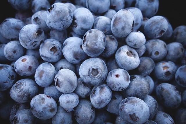 blueberries in a small heap
